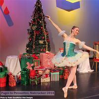 Pages to Pirouettes will bring The Nutcracker to Parkway Central Library on December 11th 